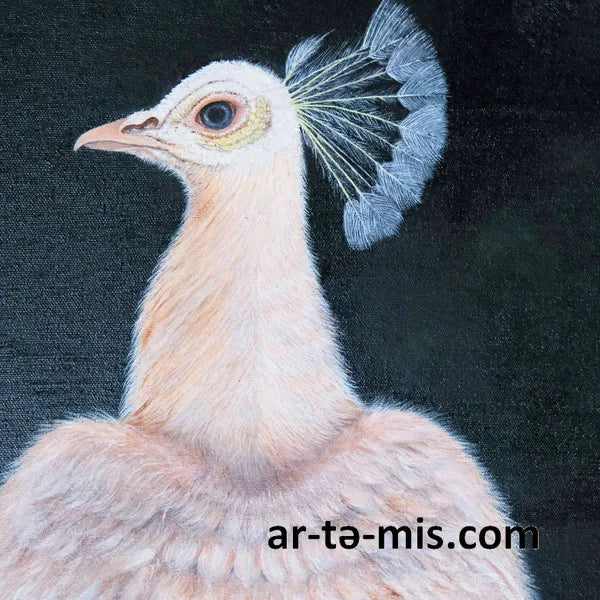 Albino Peacock (60in H x 30in W)