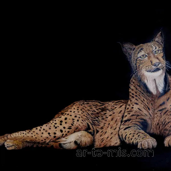 Smiling Lynx (40in H x 60in W)