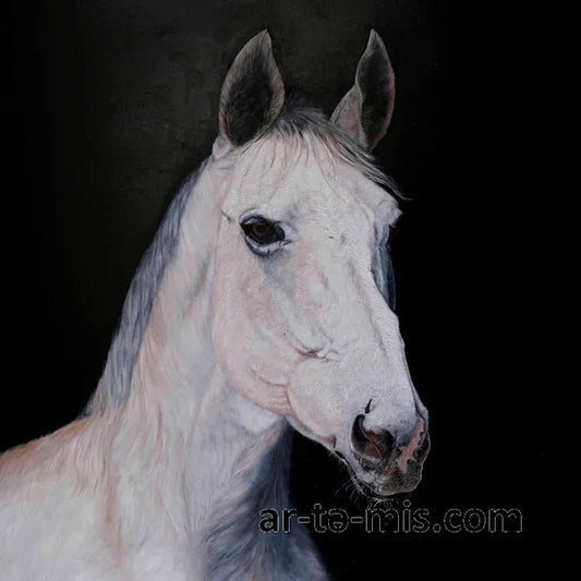 White Horse Portrait (40in H x 30in W)