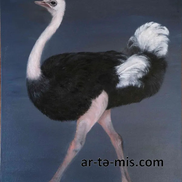 Fancy Walking Ostrich (28in H x 22in W)