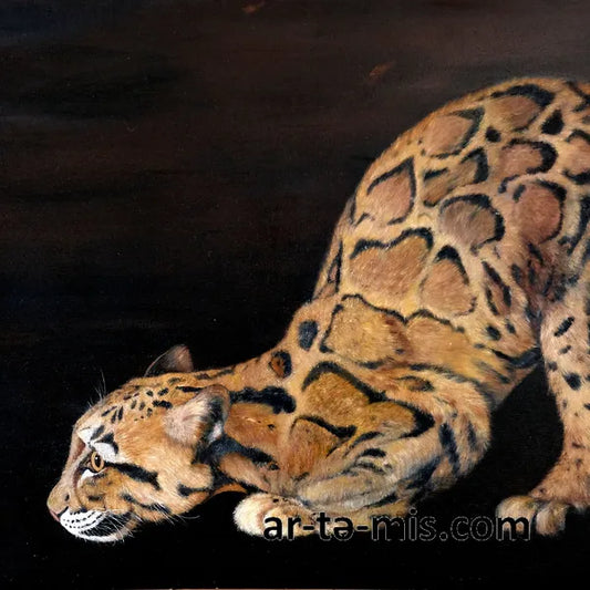 Clouded Leopard (30in H x 24in W)