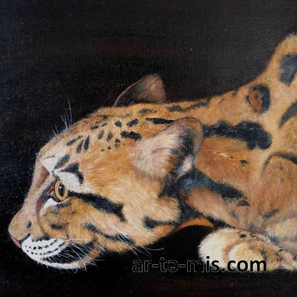 Clouded Leopard (30in H x 24in W)