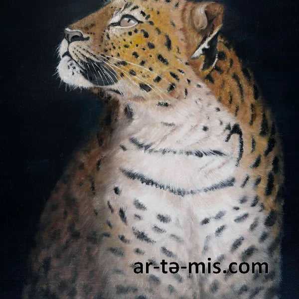 Posing Leopard (30in H x 24in W)