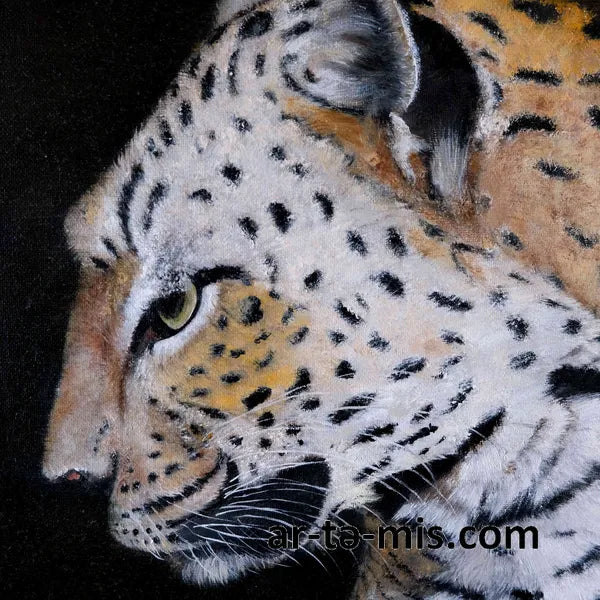 Shy Leopard (30in H x 24in W)