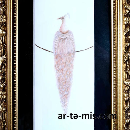 Albino Peacock (9in H x 4in W)