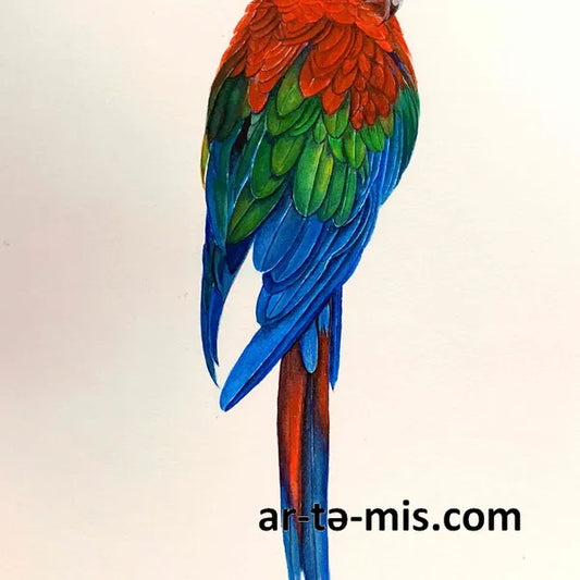 Standing Ara Parrot (14in H x 10.5in W)