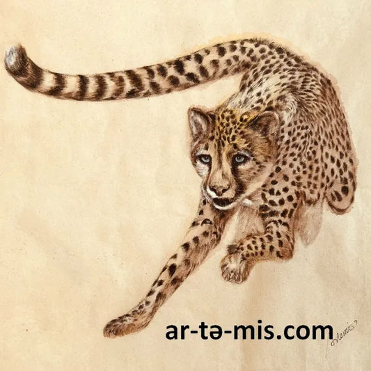 Hunting Cheetah (13in H x 17in W)