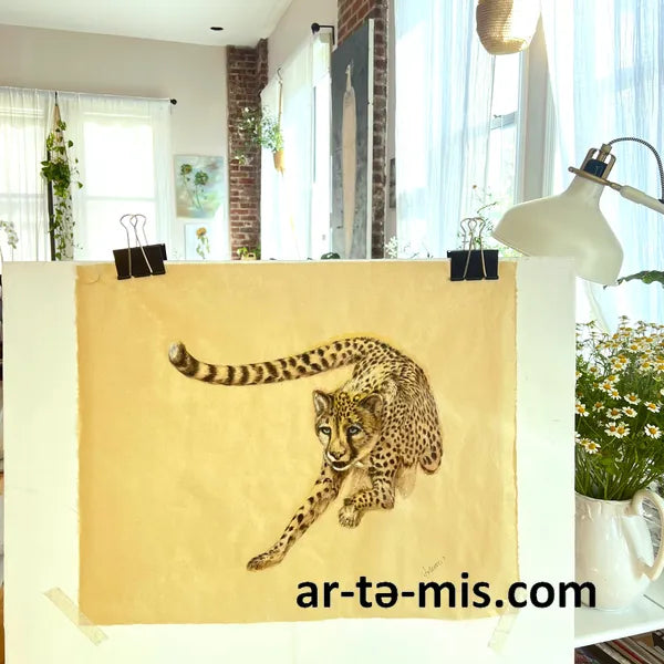 Hunting Cheetah (13in H x 17in W)