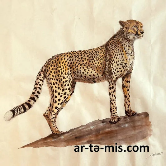 King of the Hill Cheetah (16in H x 20in W)