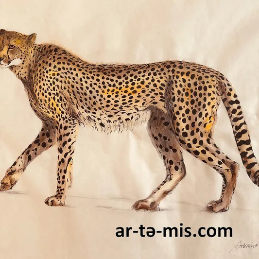 Passing By Cheetah (16in H x 20in W)