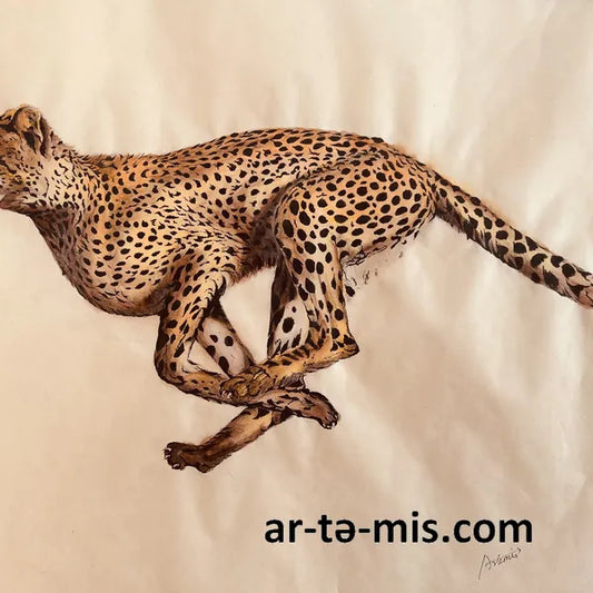 Cheetah - The King of Races (16in H x 20in W)