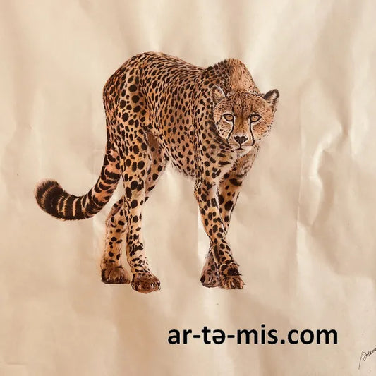 Lunch Time Cheetah (16in H x 20in W)