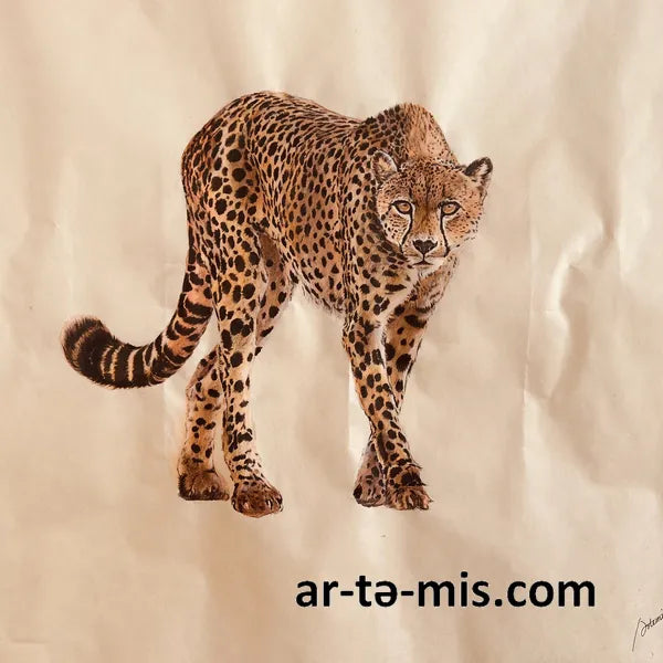 Lunch Time Cheetah (16in H x 20in W)