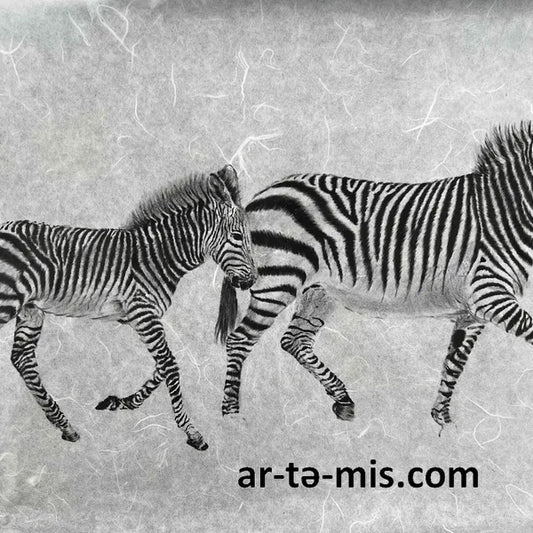 Zebras (12in H x 19in W)