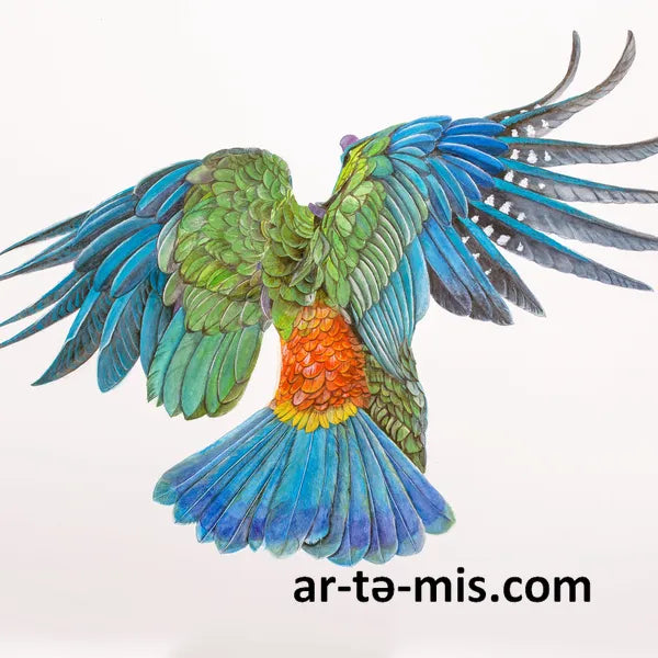 Flying Ara Parrot (22in H x 30in W)